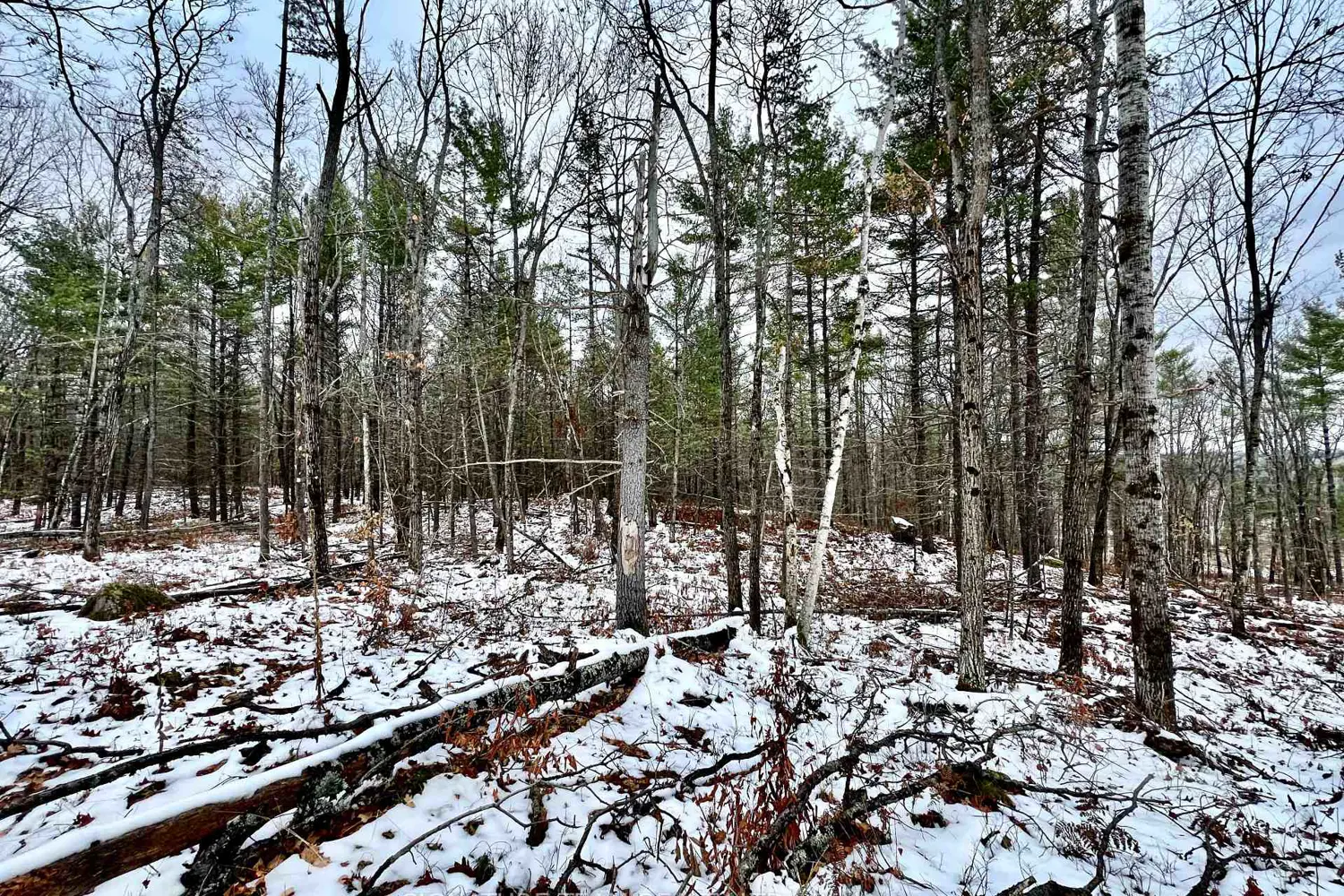 Additional image 18 of 744 Black Creek Road