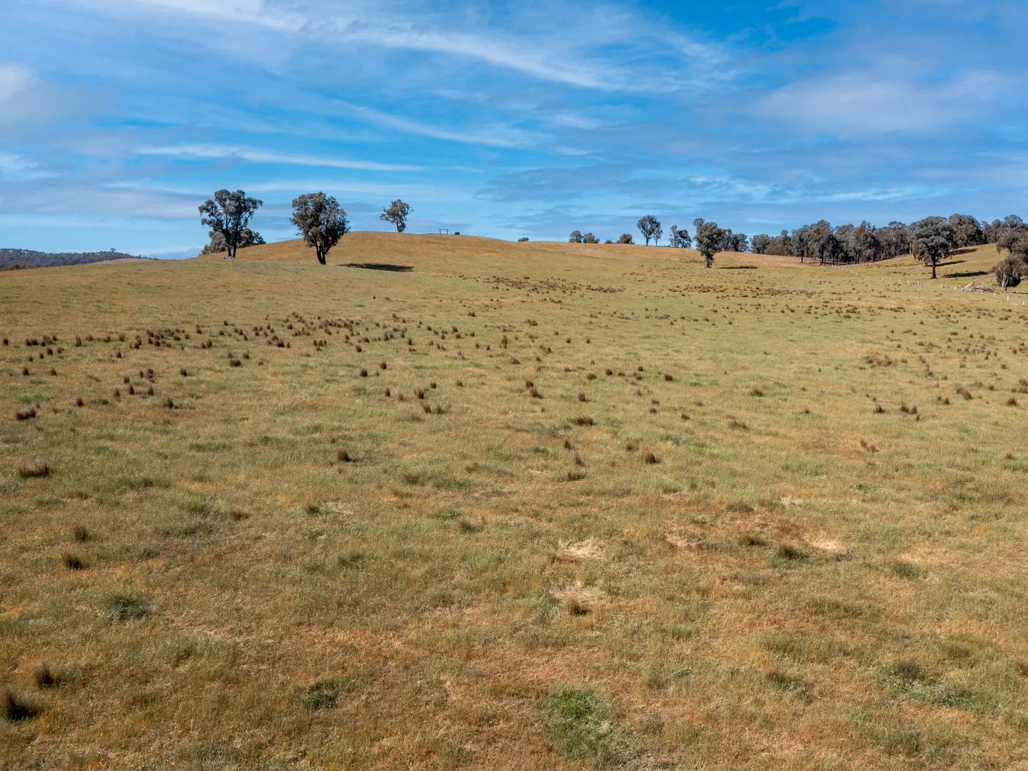 Additional image 10 of Eleven Mile Creek Road, Glenrowan West VIC 3675