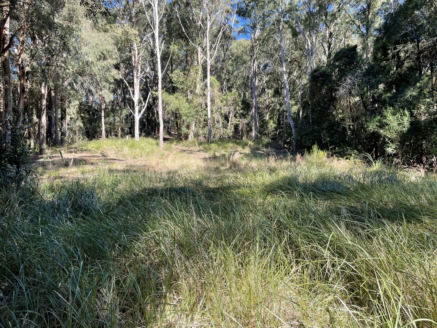 Additional image 9 of 20 James Norton Road, Bensville NSW 2251