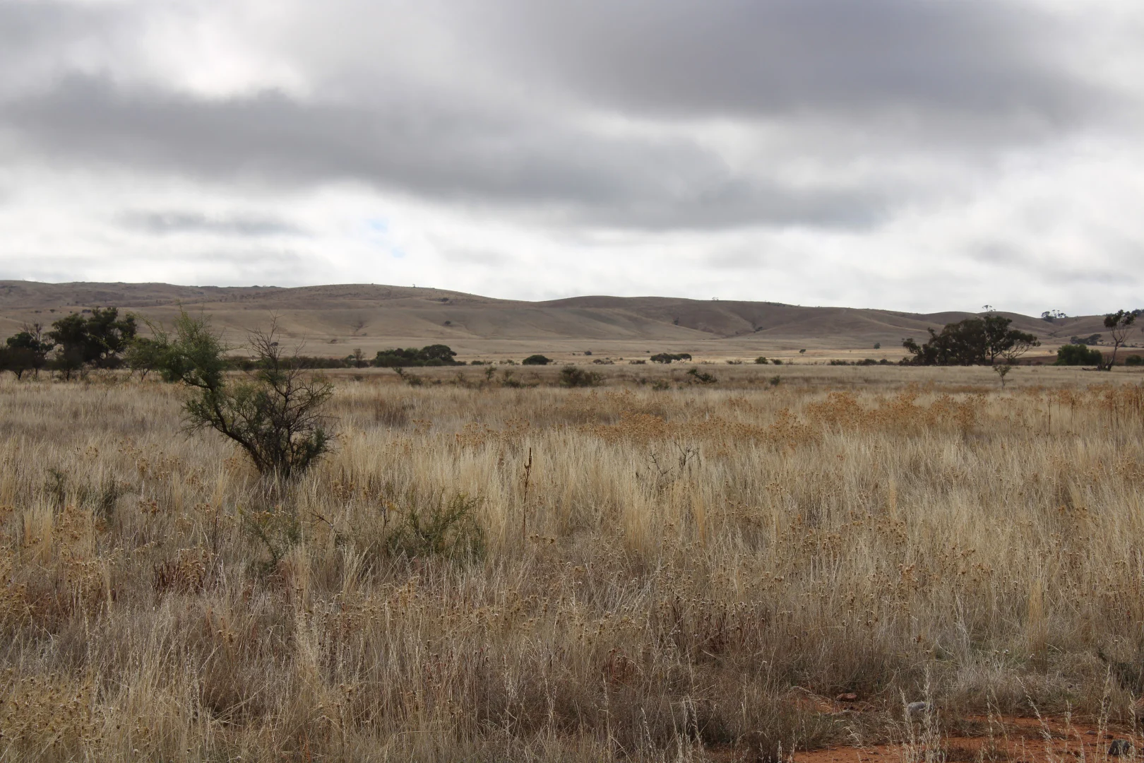 Additional image 10 of "Woodlands" Black Rock Road, Minvalara SA 5422