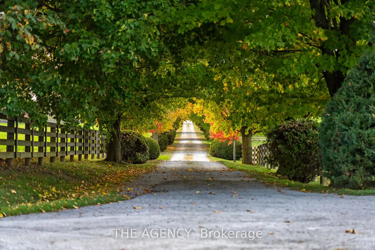 Additional image 3 of 1589 5Th Sideroad