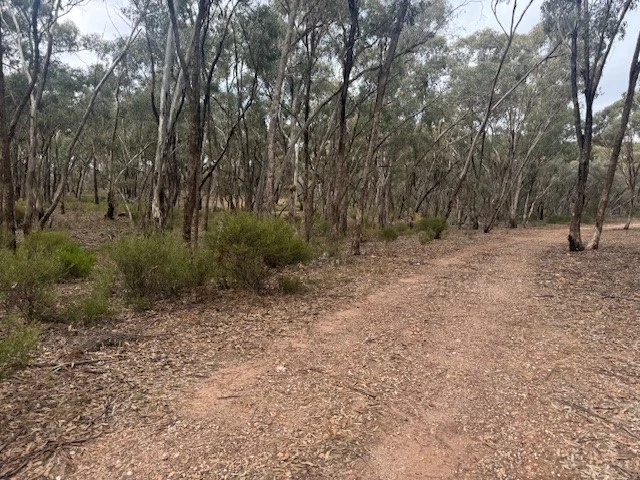 Additional image 25 of 6 Old Boort Road, Wedderburn VIC 3518