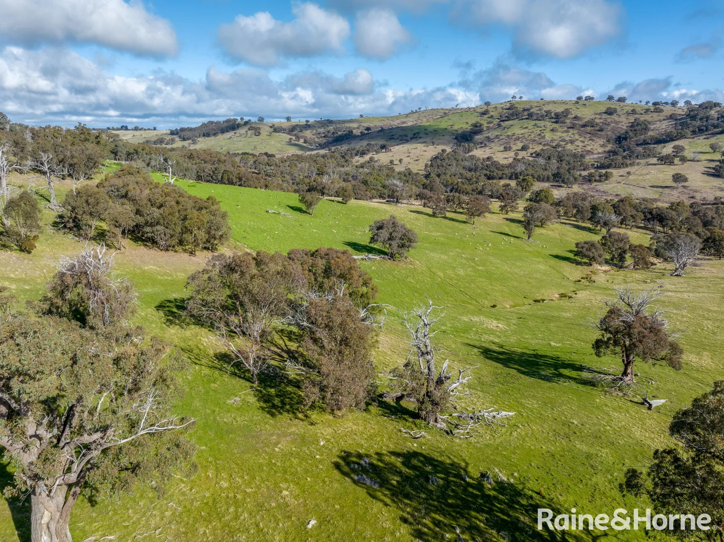 Additional image 10 of 2306 Bigga Road, Bigga NSW 2583