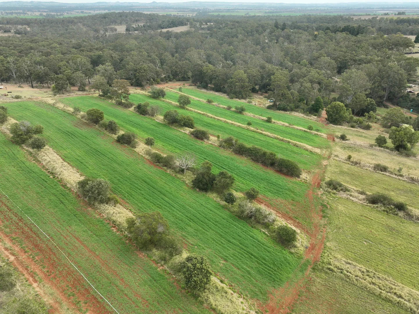 Additional image 5 of 34 Bellottis Road, Oakdale QLD 4605