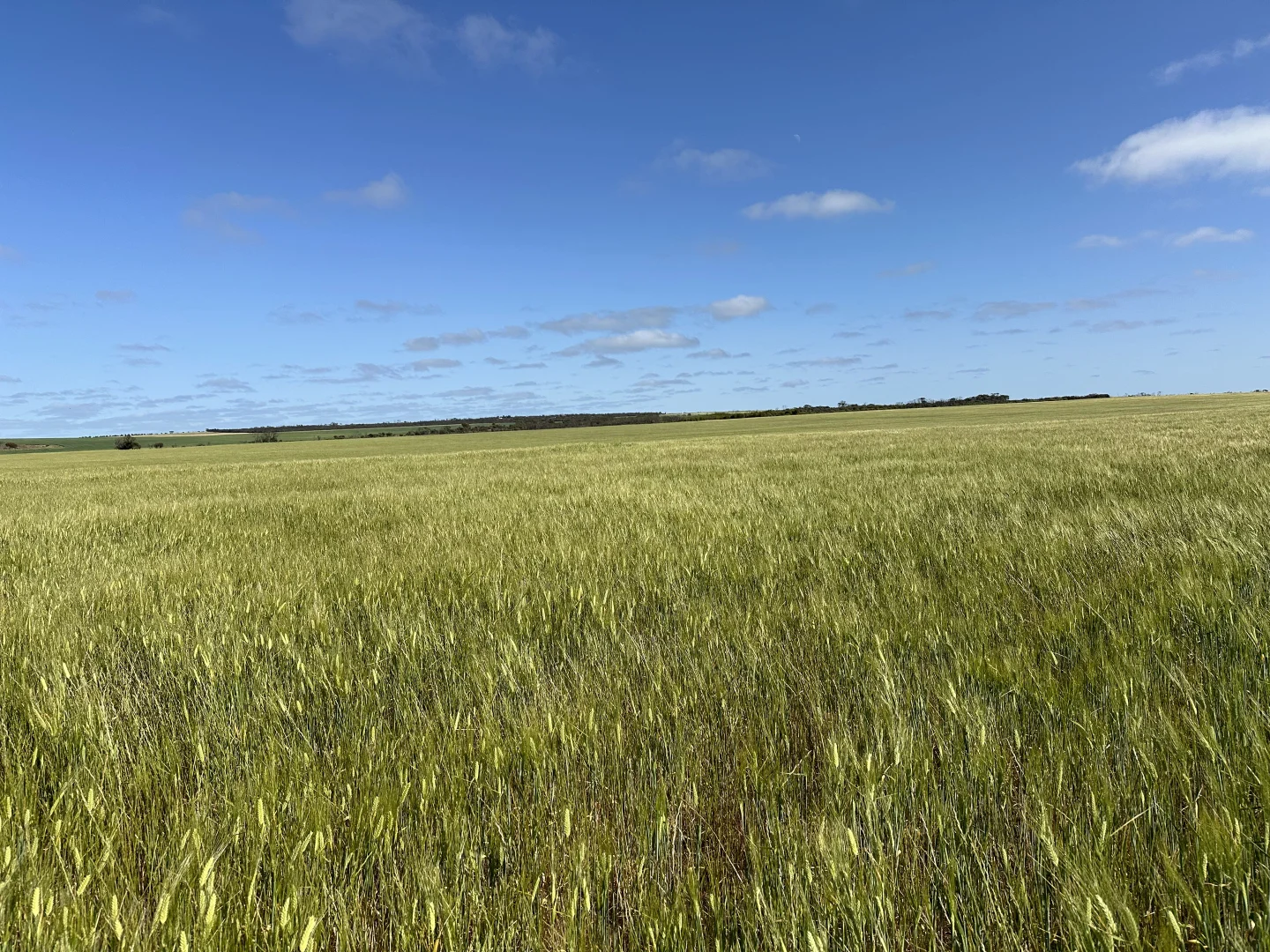 Additional image 12 of 2501 Hyden Norseman Road, Hyden WA 6359