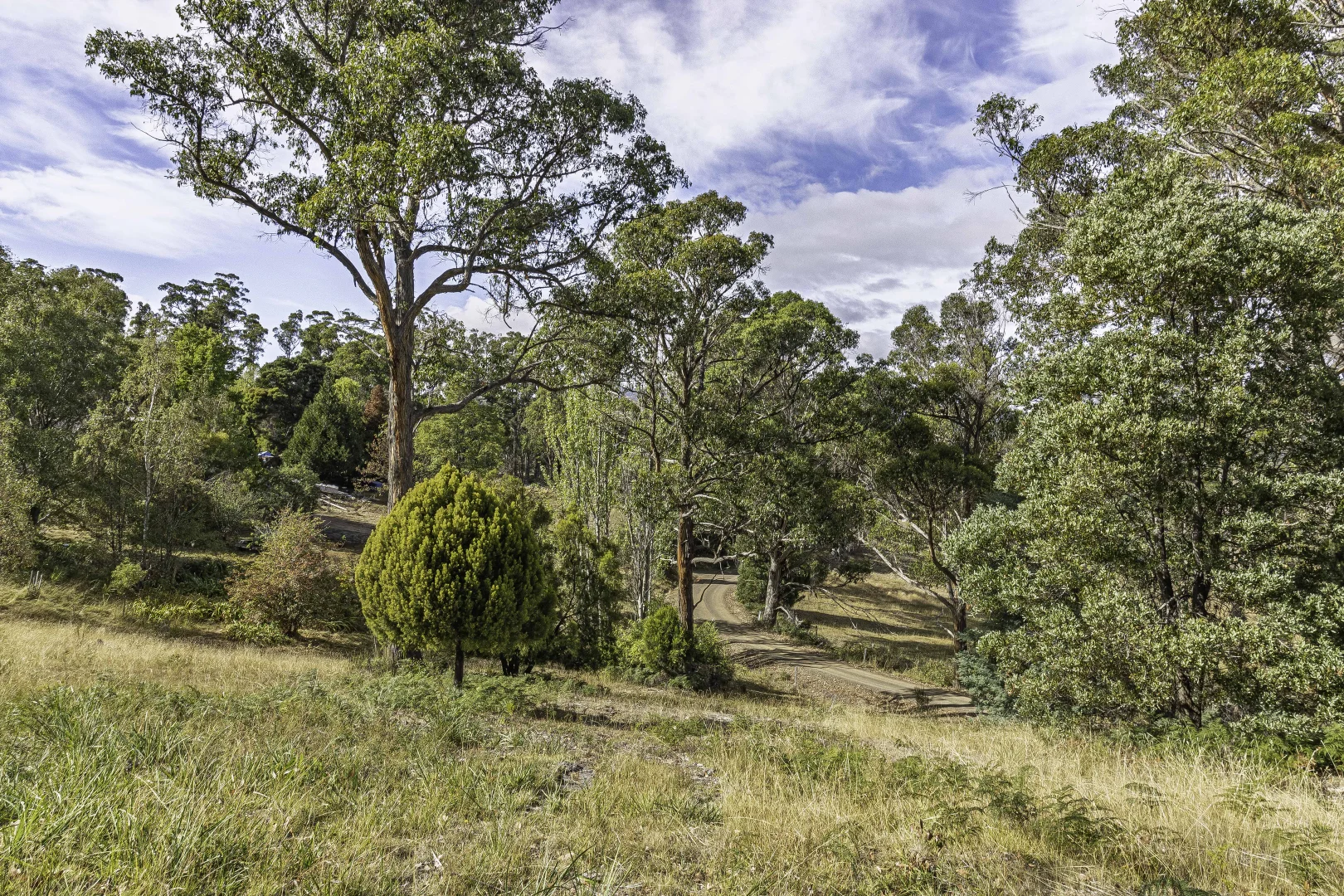 Additional image 27 of 242 Woolleys Road, Lonnavale TAS 7109