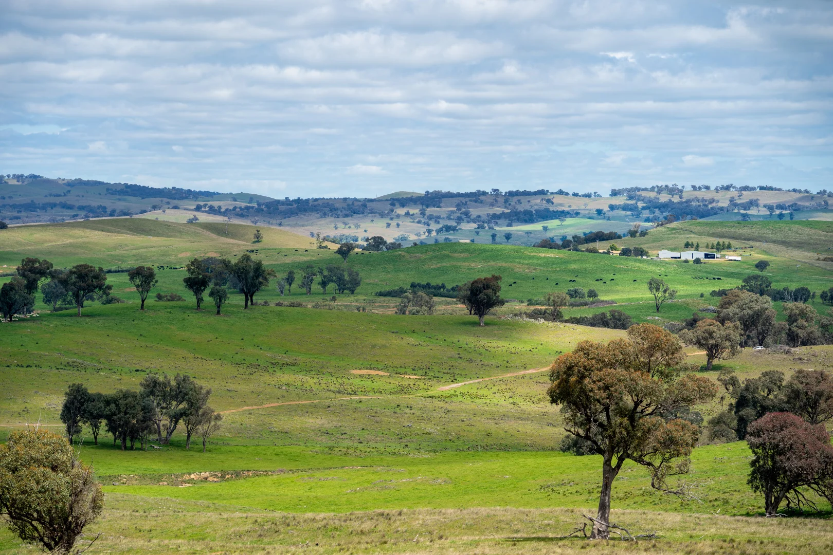 Additional image 30 of 'Cronga Peak' 157 Cronga Peak Road, Molong NSW 2866