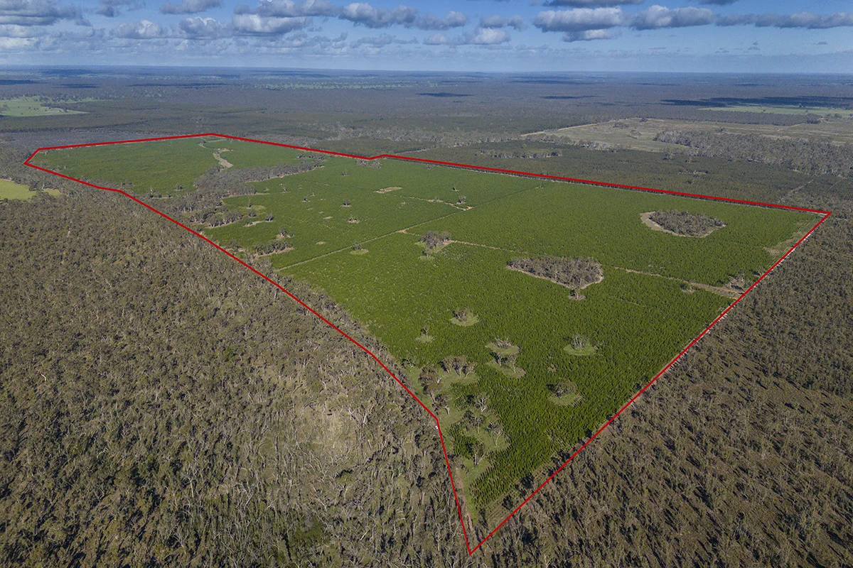 Additional image 4 of 125 Moonlight Road, Killara VIC 3312