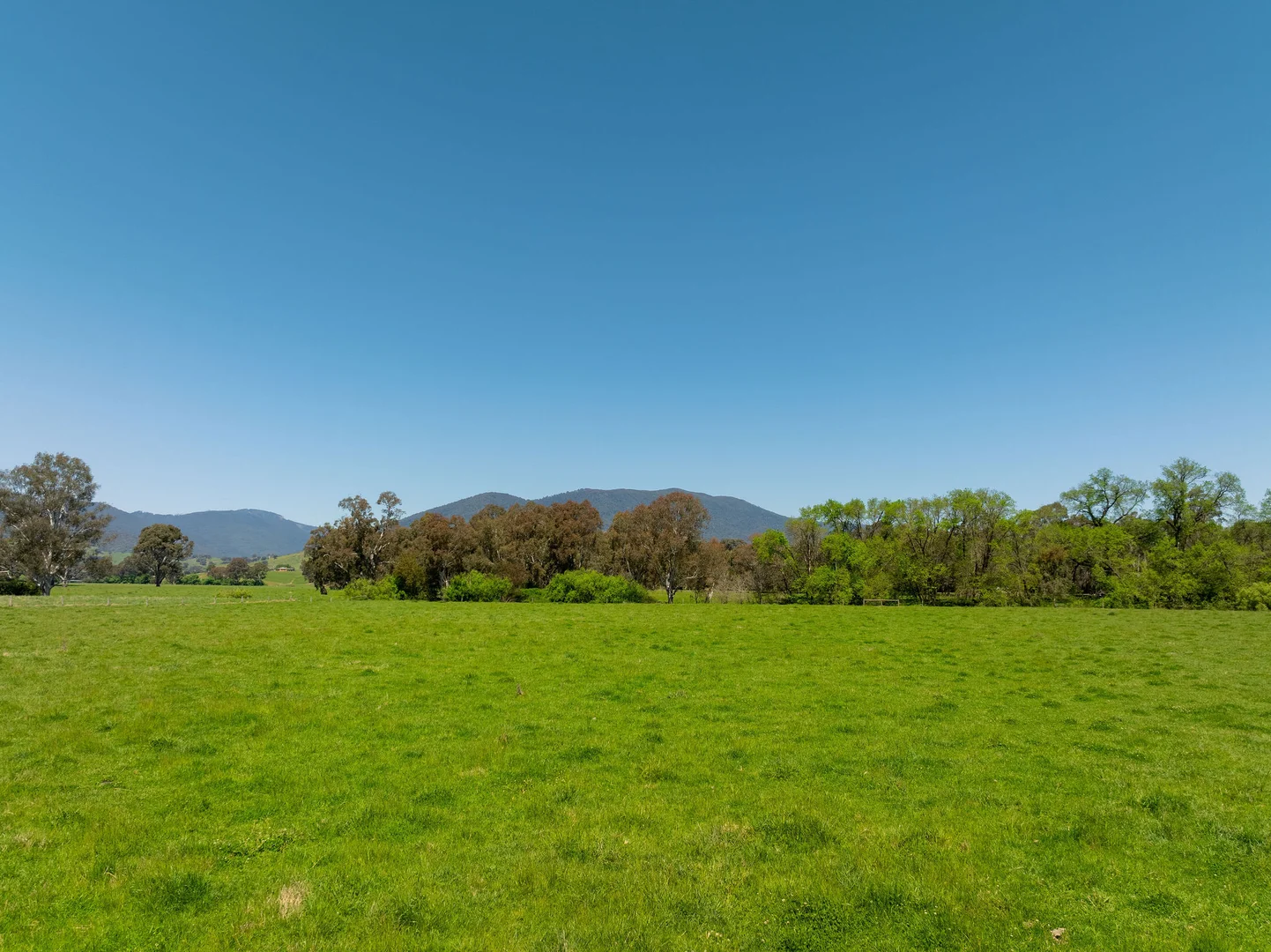 Additional image 13 of 1240 Goulburn Valley Highway, Thornton VIC 3712