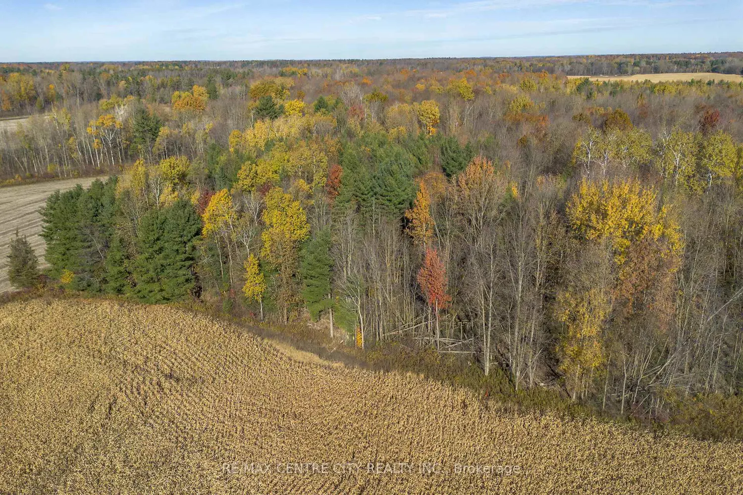 Additional image 12 of Pt Lt 140&141 Col Talbot Road