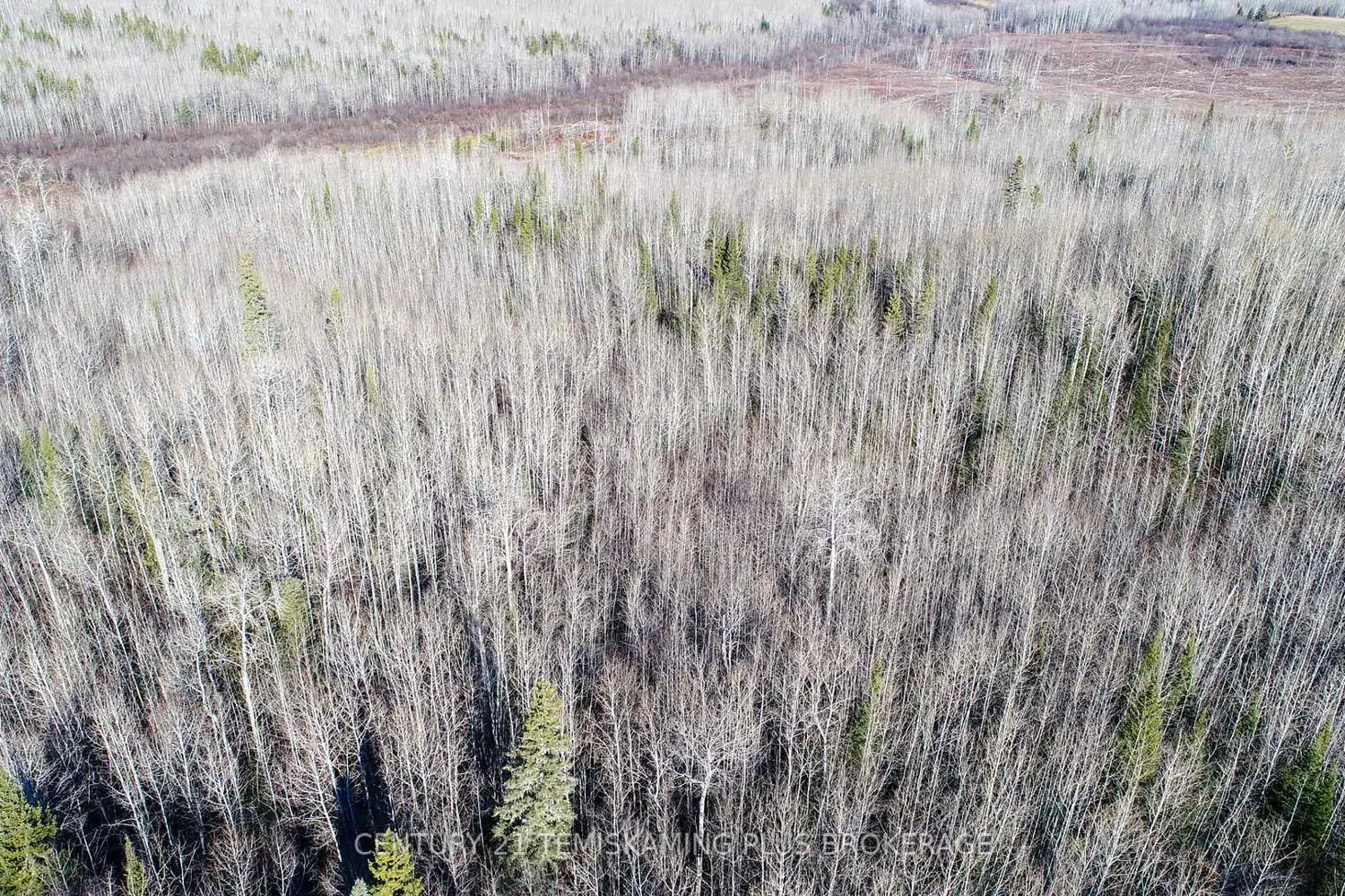 Additional image 20 of Pt 4 Cabin Road