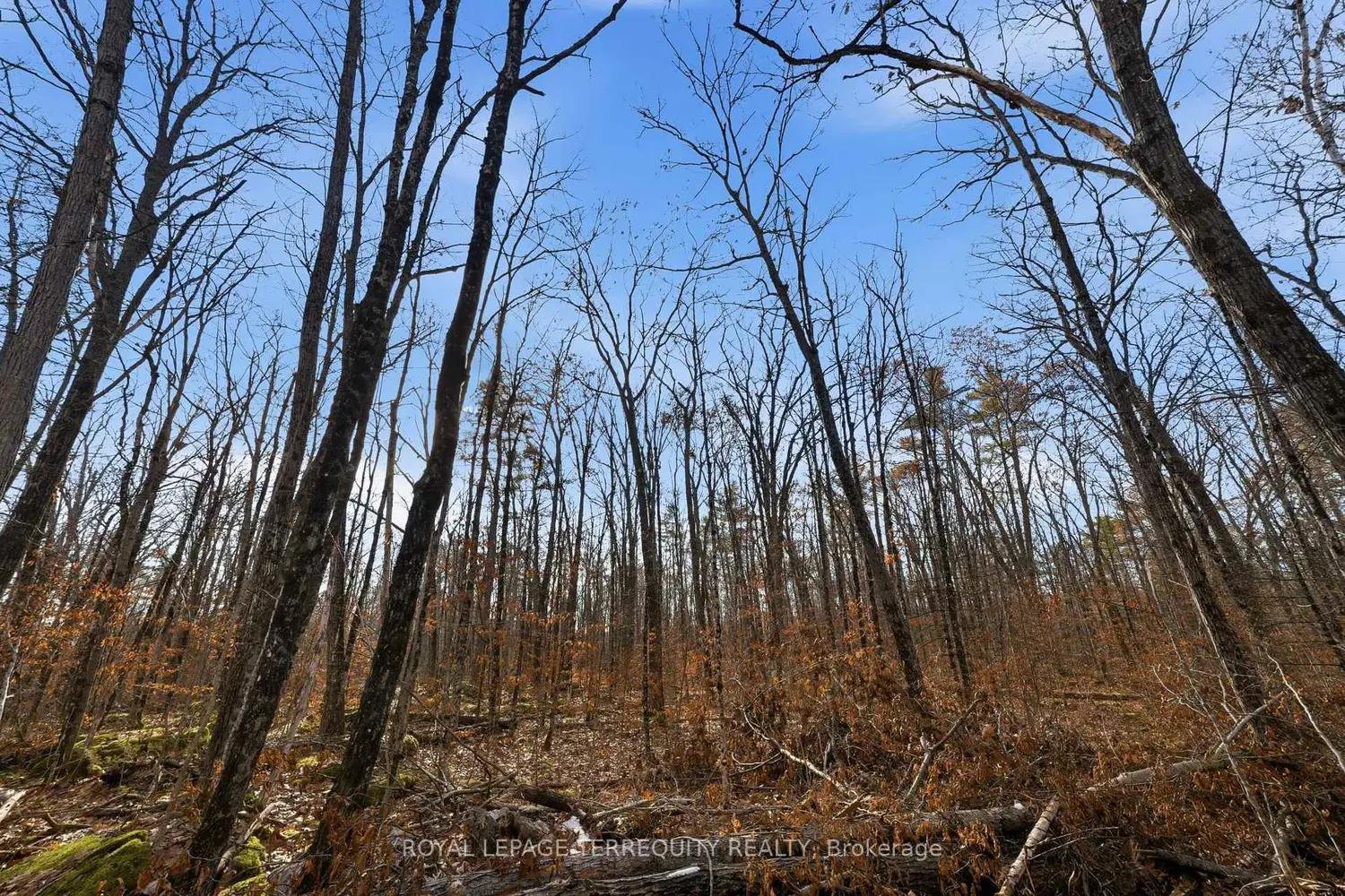 Additional image 11 of 64 Maple Road