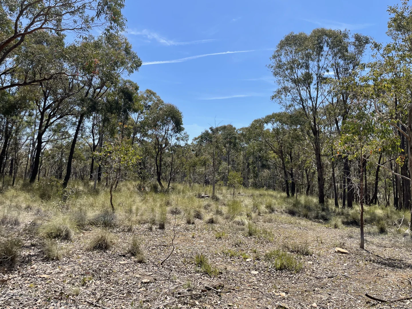 Additional image 8 of 925 Marked Tree Road, Gundaroo NSW 2620
