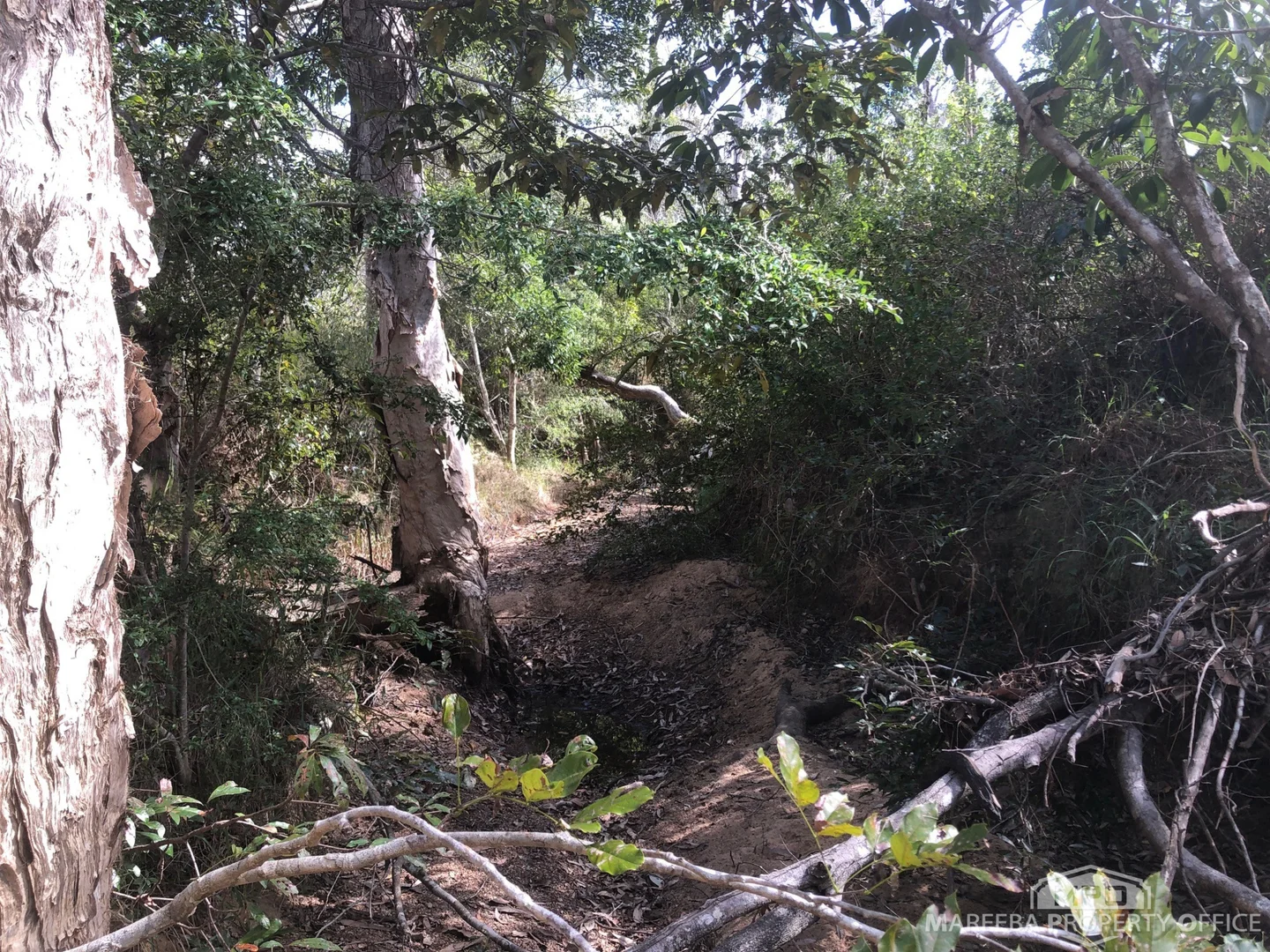 Additional image 10 of Lot 154 / 764 Hodzic Road, Biboohra QLD 4880