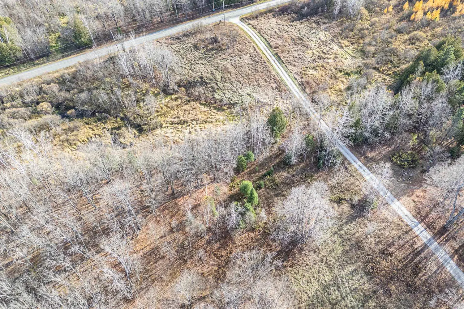 Additional image 7 of 0 Armstrong Line