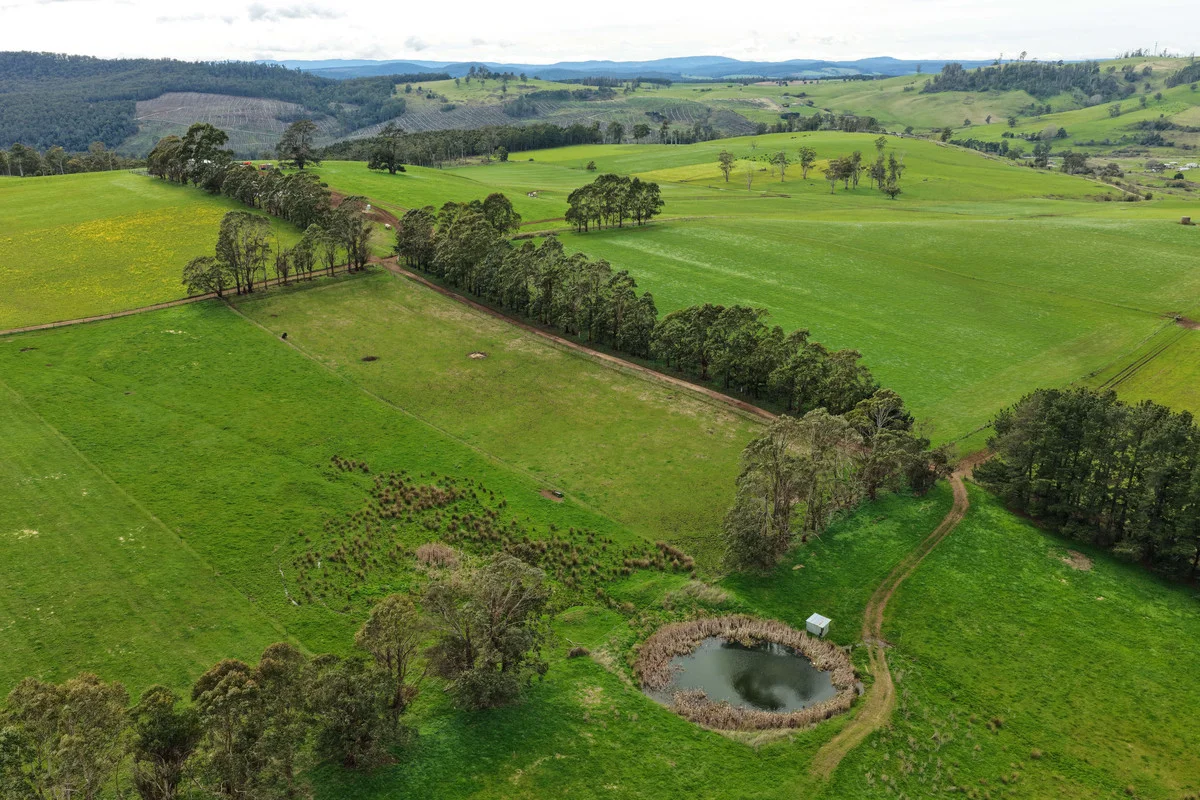 Additional image 5 of 261 Weegena Road, Kimberley TAS 7304