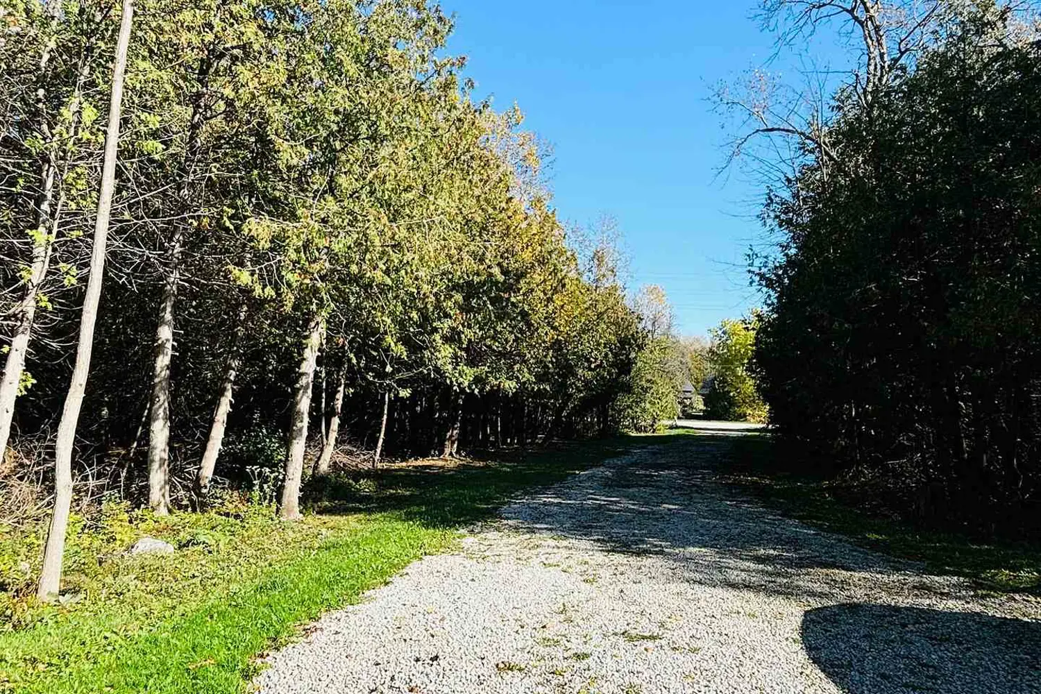 Additional image 18 of 2506 Concession 10 Nottawasaga Road