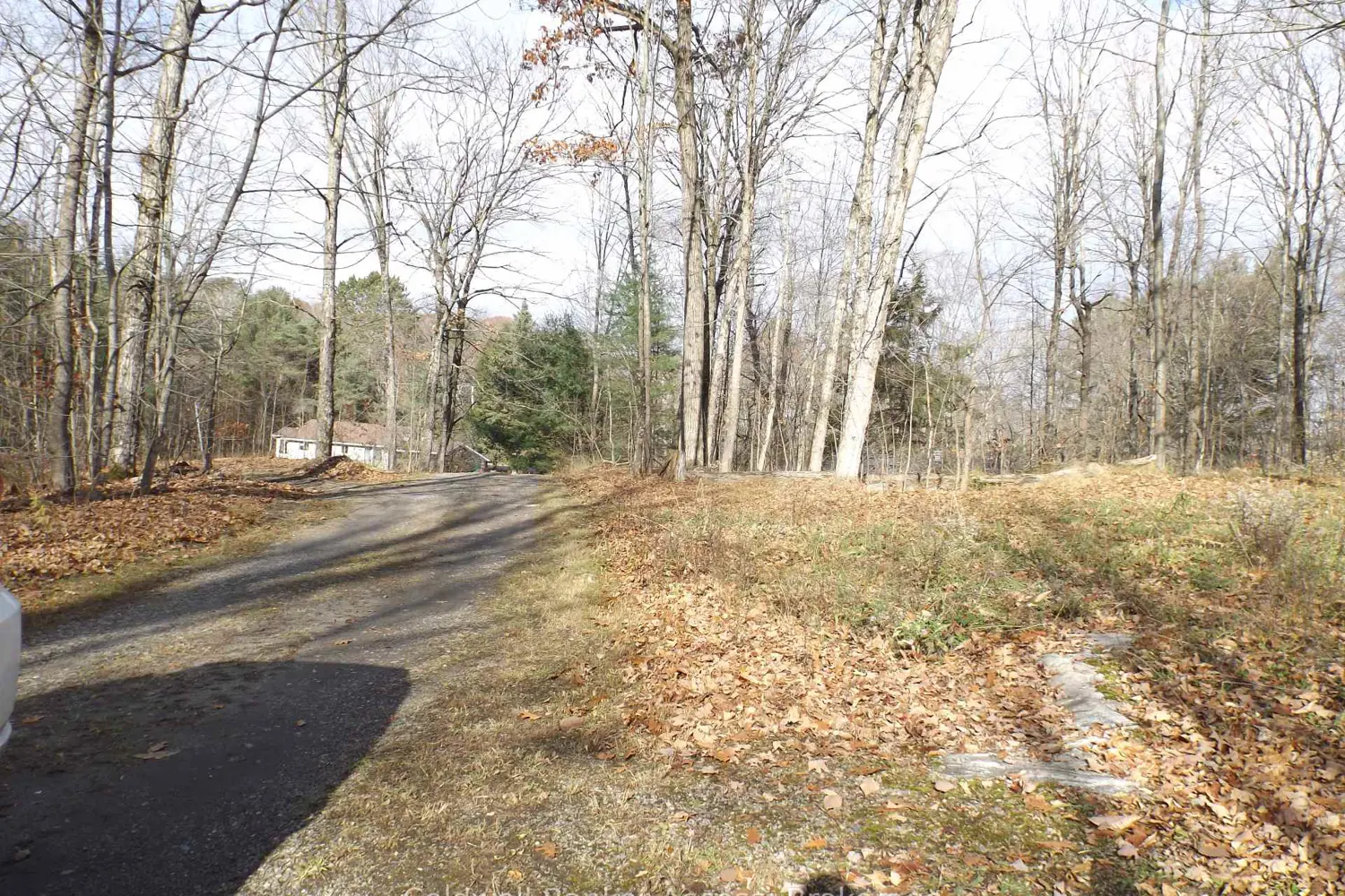 Additional image 10 of 1019 Carl's Road 3