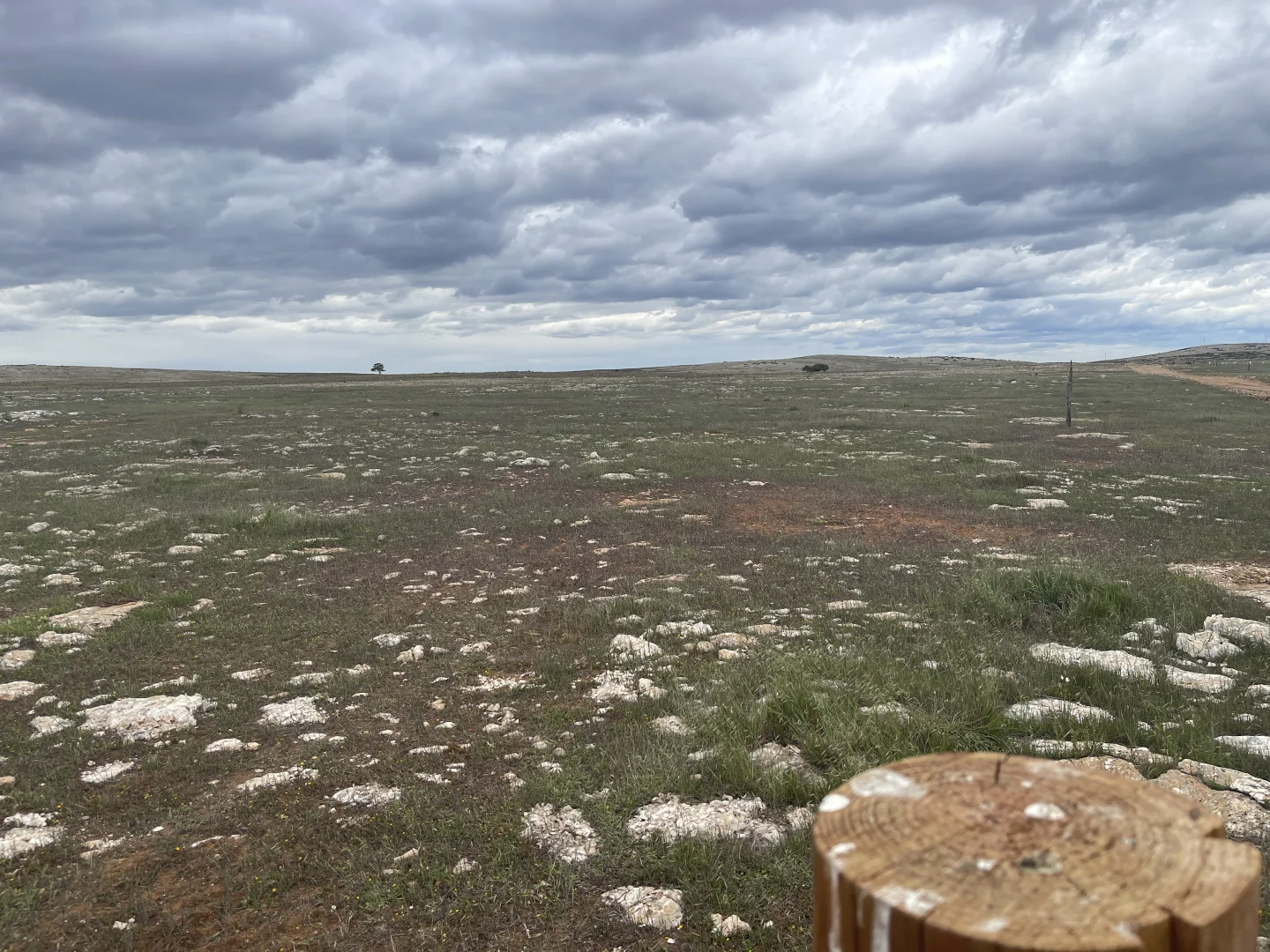 Additional image 6 of 1 Section 217, 217 & 219, Bramfield SA 5670