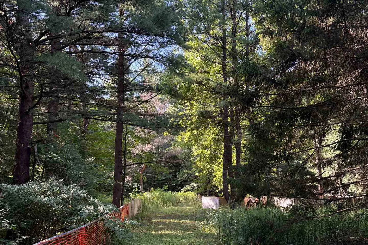 Additional image 4 of 4035 Aurora Road