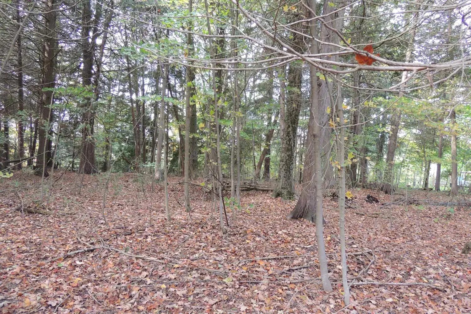 Additional image 6 of Ptlt 48 North Line