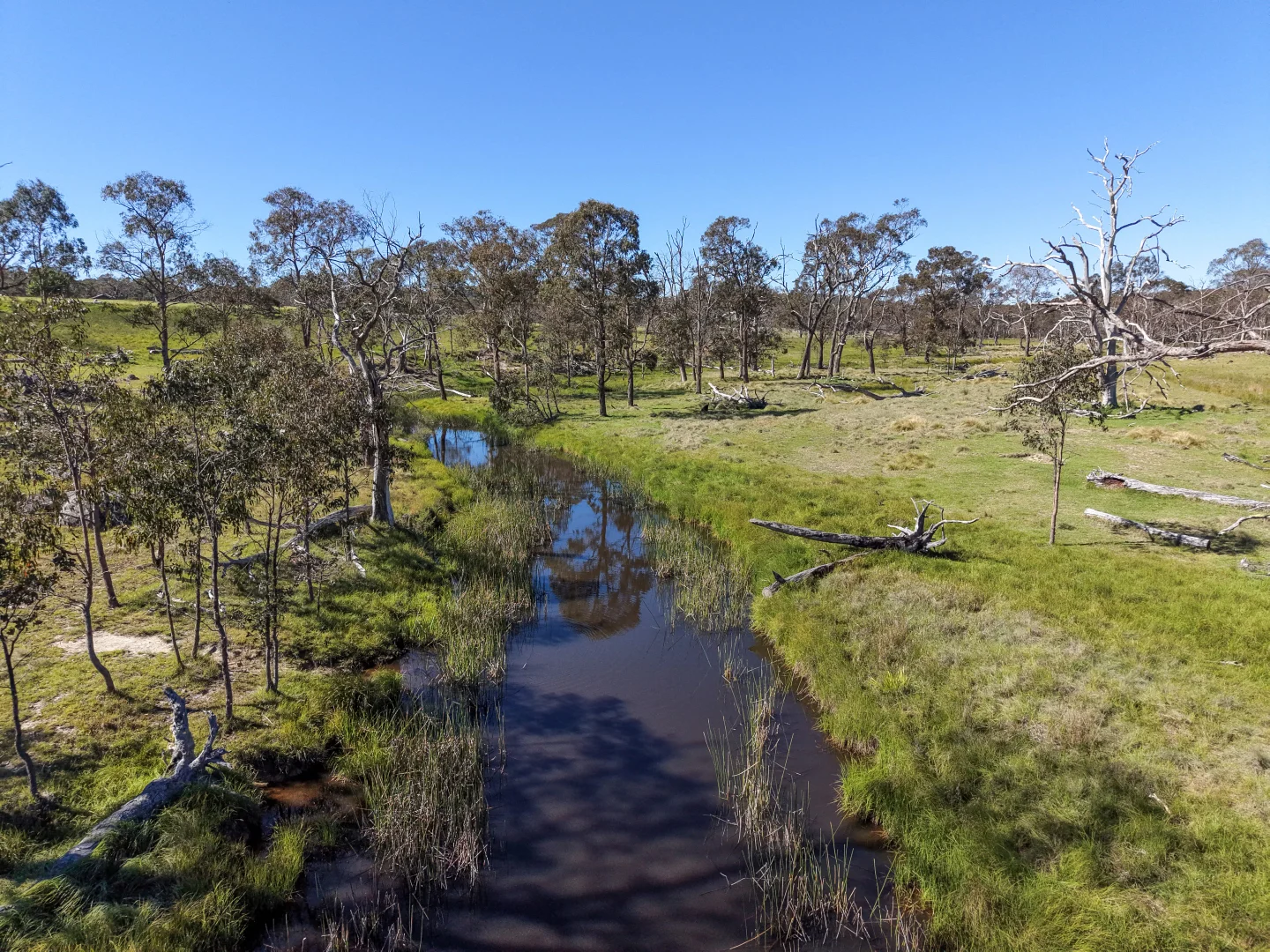 Additional image 9 of 2153 Mount Lindesay Road, Tenterfield NSW 2372