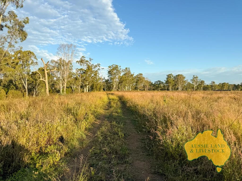 Additional image 63 of 8 SCREENING PLANT ROAD, Cynthia QLD 4627