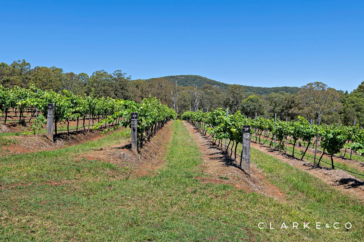 Additional image 5 of 195 Marrowbone Road, Pokolbin NSW 2320