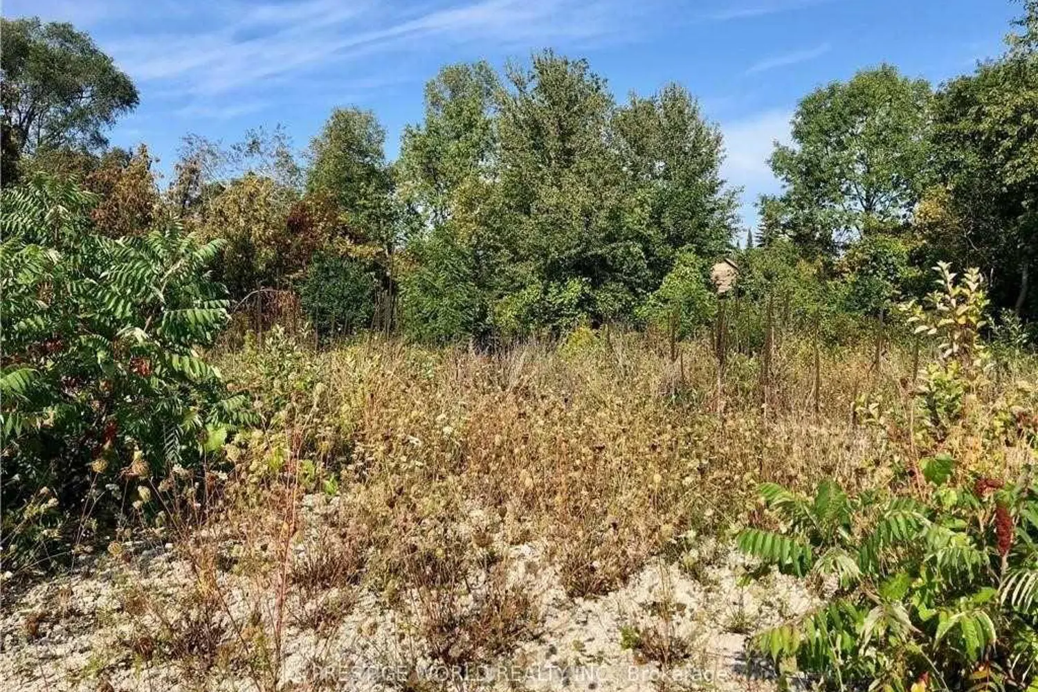 Additional image 2 of 9776 Beachwood Road