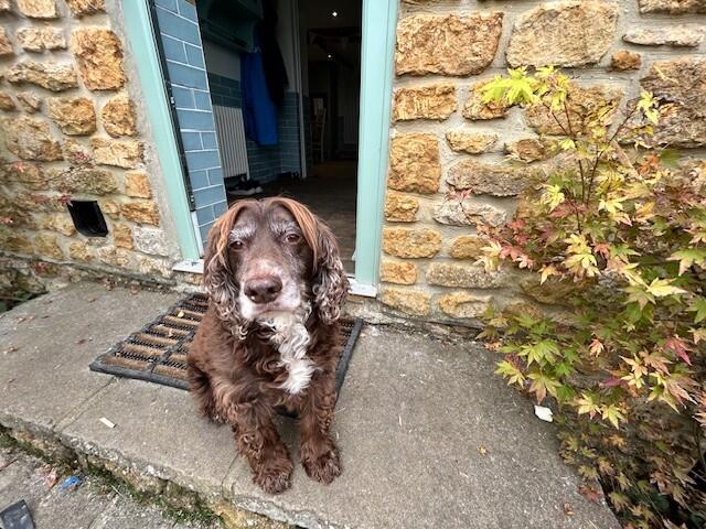 Additional image 29 of Galhampton Hill, Galhampton, Somerset, BA22 7AE