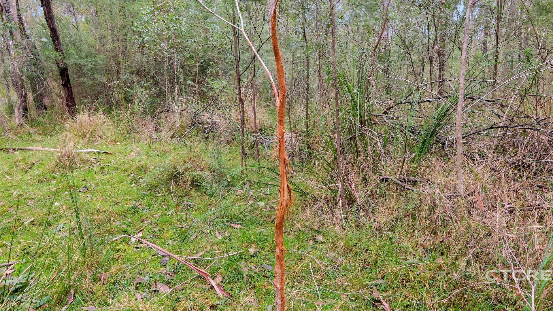 Additional image 23 of 1664 Wangarabell Road, Wangarabell VIC 3891