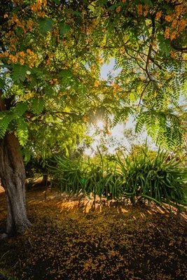 Additional image 21 of 446 Bassett Lane, Roma QLD 4455