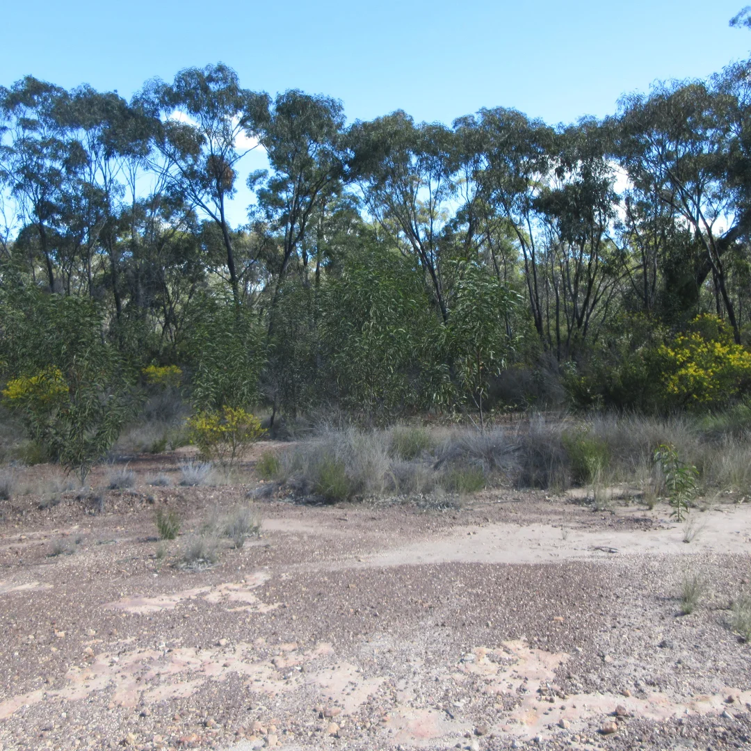 Additional image 2 of Lot/113 Lewington Road, Tara QLD 4421