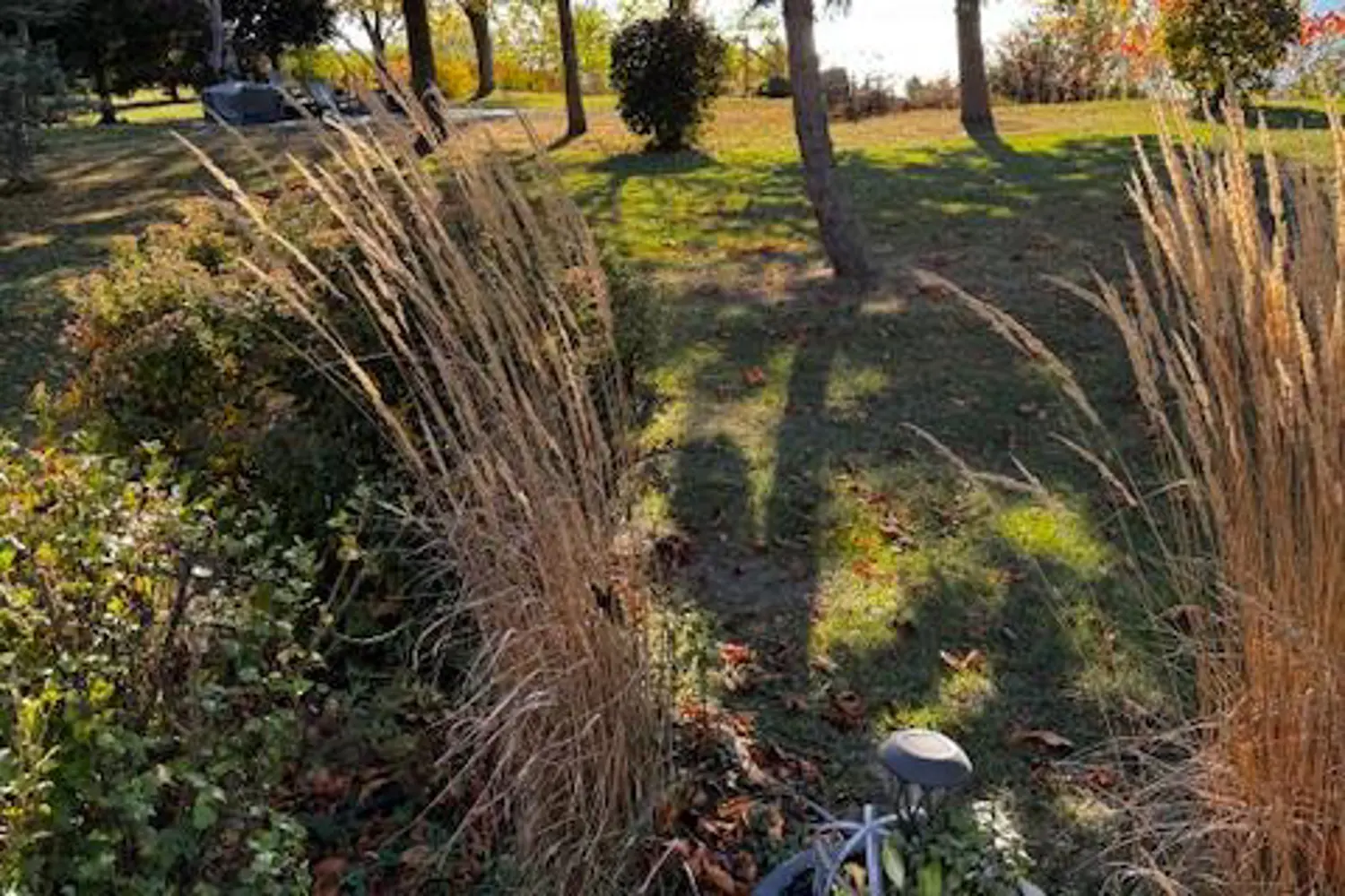 Additional image 3 of 72163 Lakeshore Drive