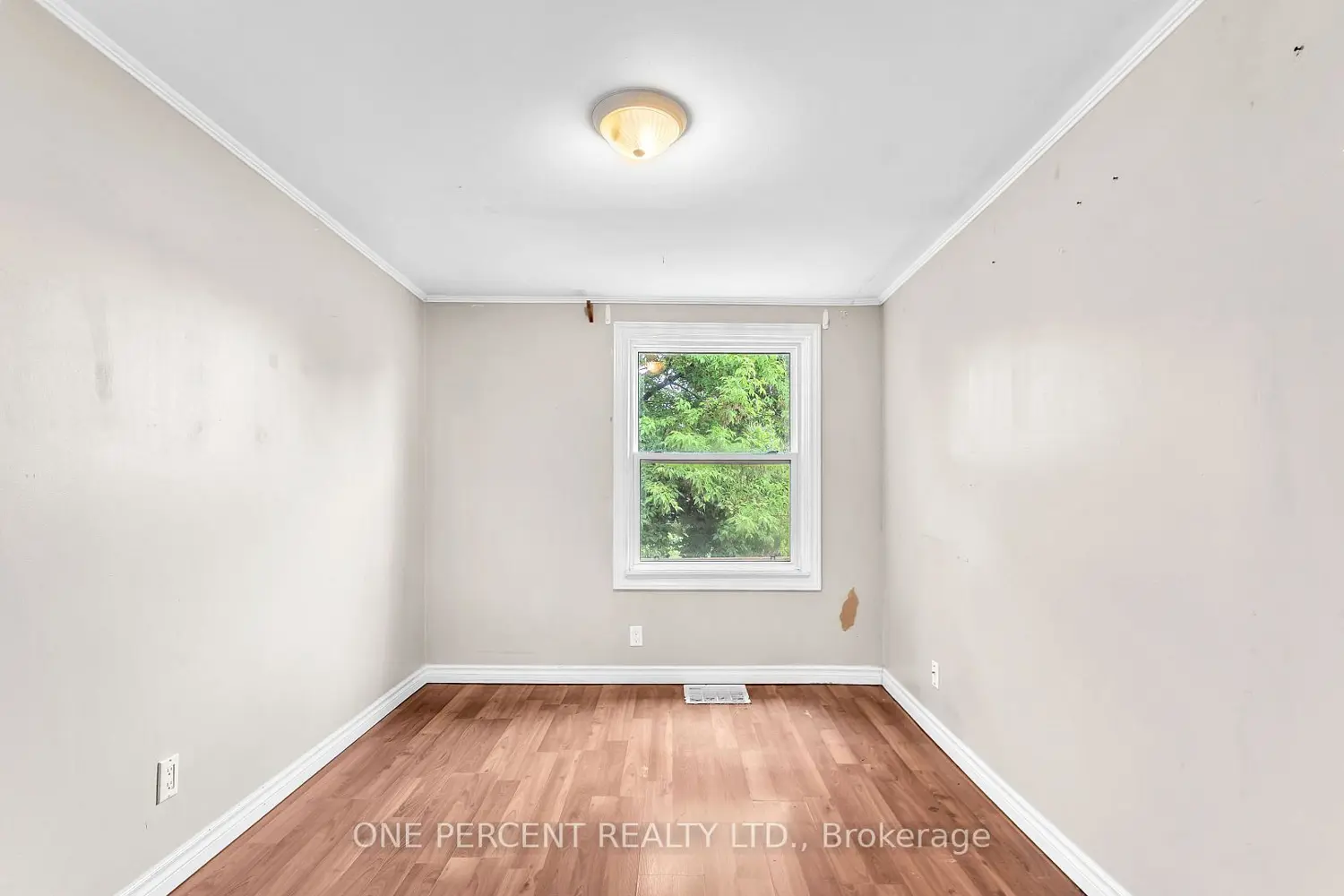 Additional image 8 of 1185 Albany Street