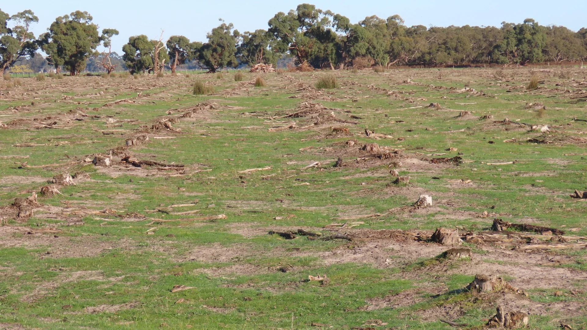 Additional image 9 of 225 Coles-Killanoola Road, Coles SA 5272