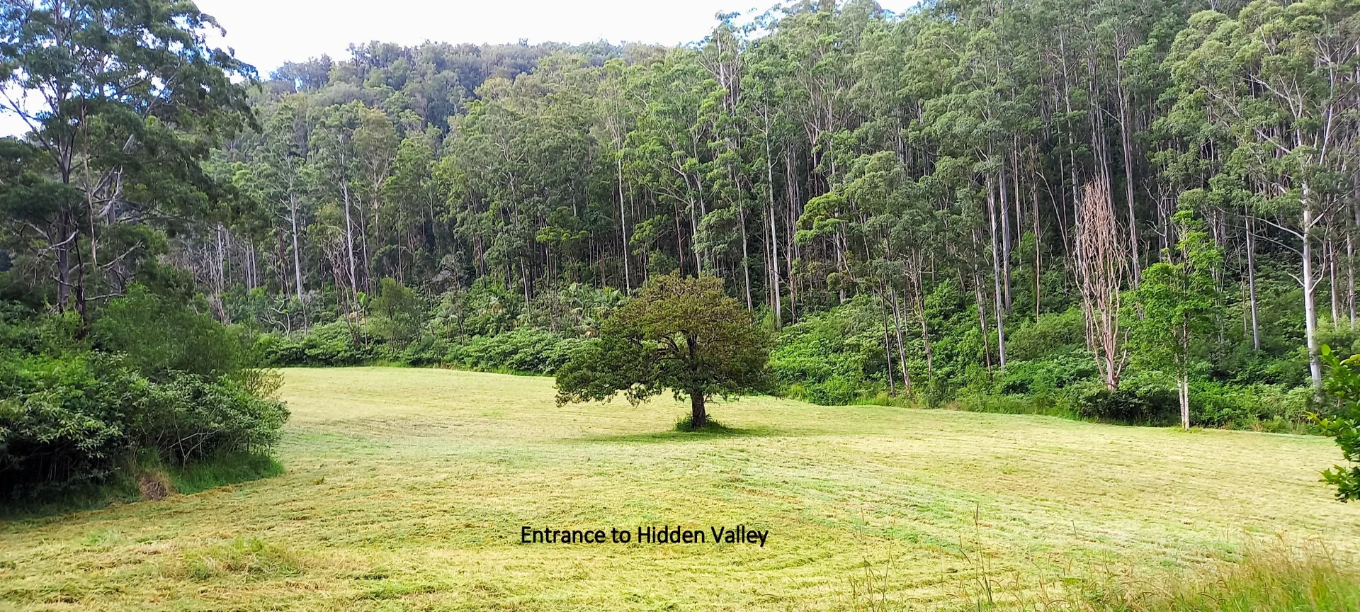 Additional image 23 of Bellangry NSW 2446