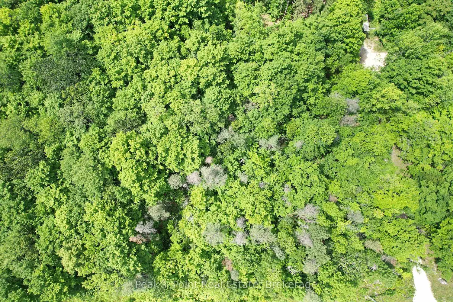 Additional image 7 of 725 Purple Valley Road