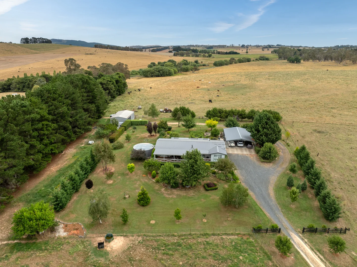 Additional image 12 of 'Top Farm' 1004 Neville-Trunkey Road, Neville NSW 2799