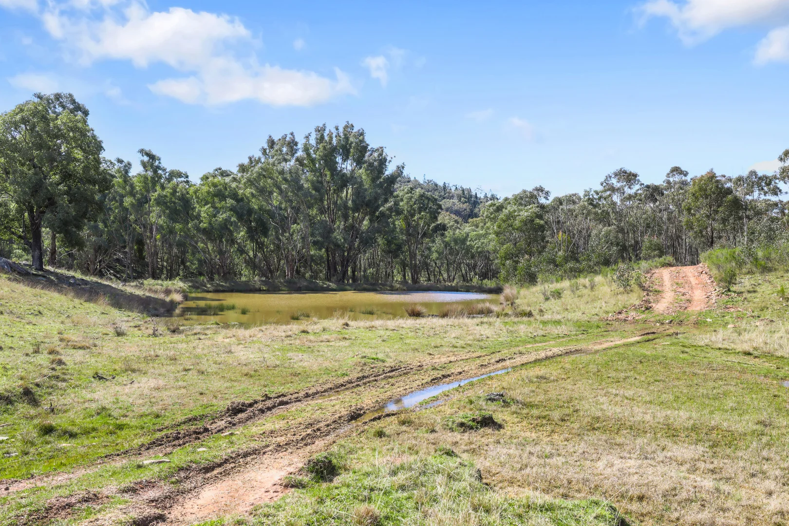 Additional image 6 of Gulgong NSW 2852