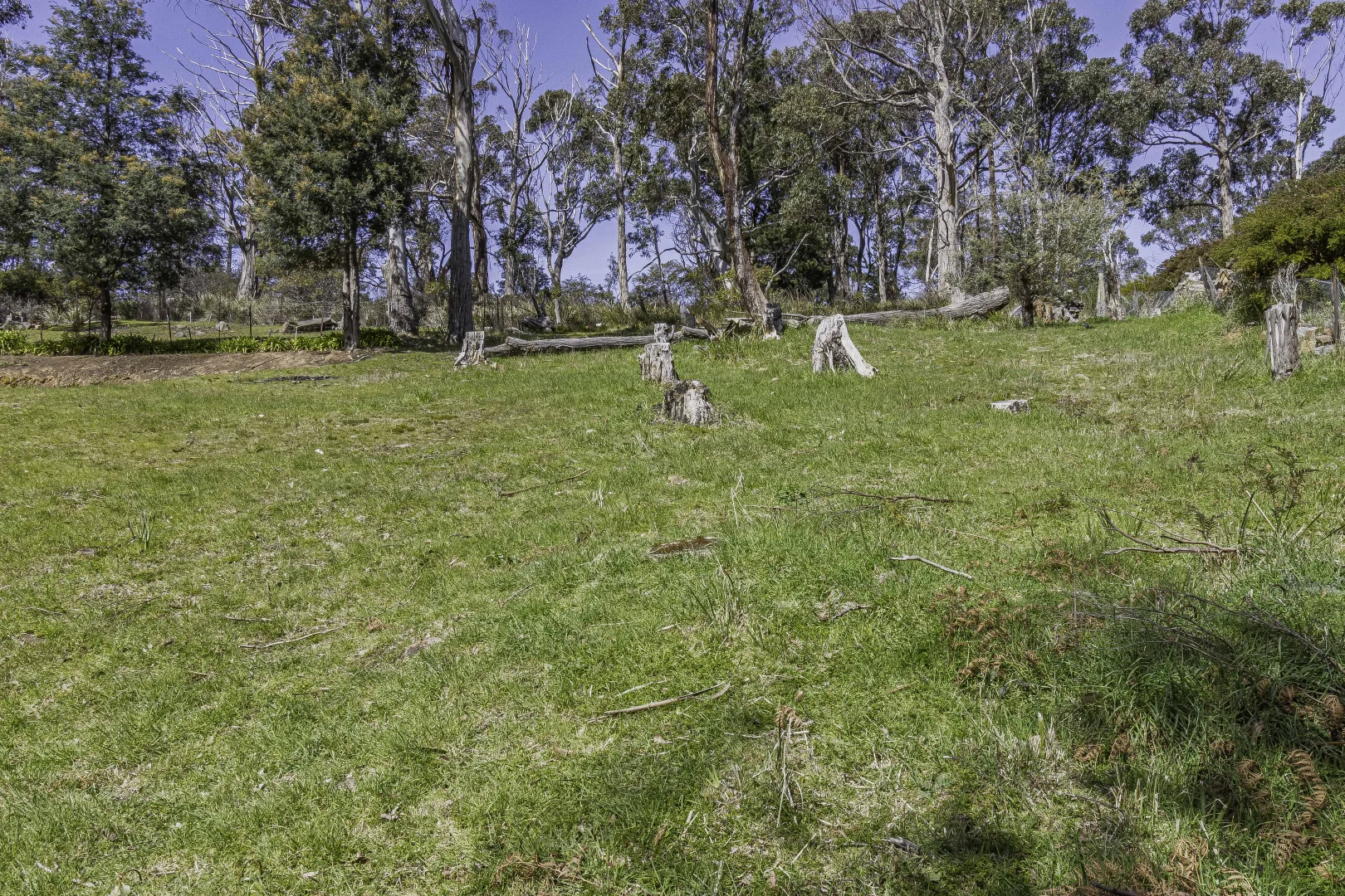 Additional image 3 of 2 Huon Highway, Geeveston TAS 7116