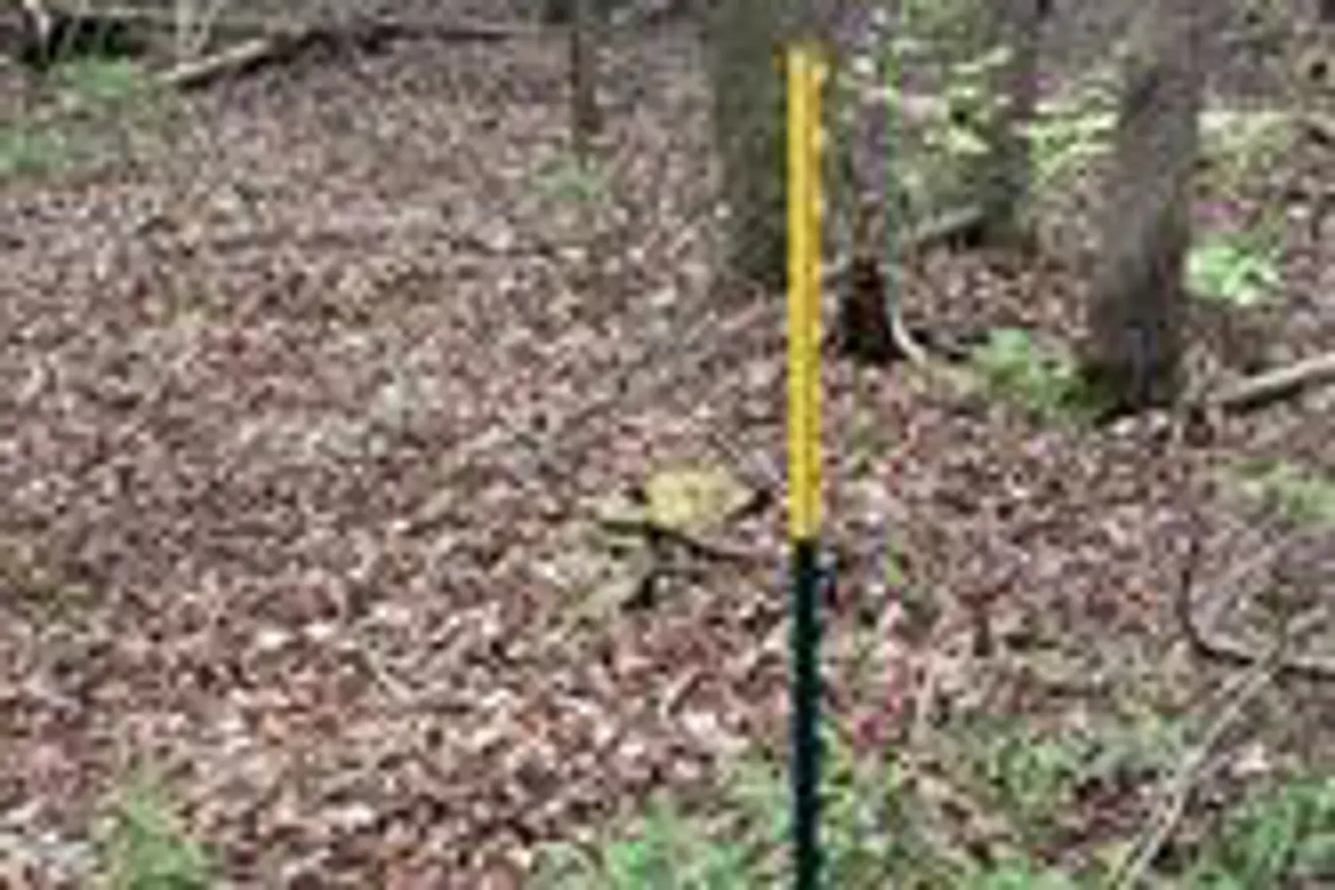 Additional image 2 of 00 Kenyon Acres