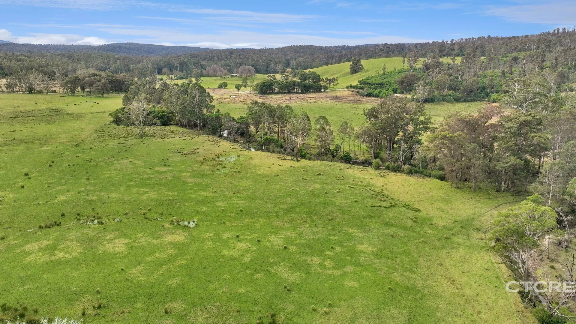 Additional image 9 of 1664 Wangarabell Road, Wangarabell VIC 3891