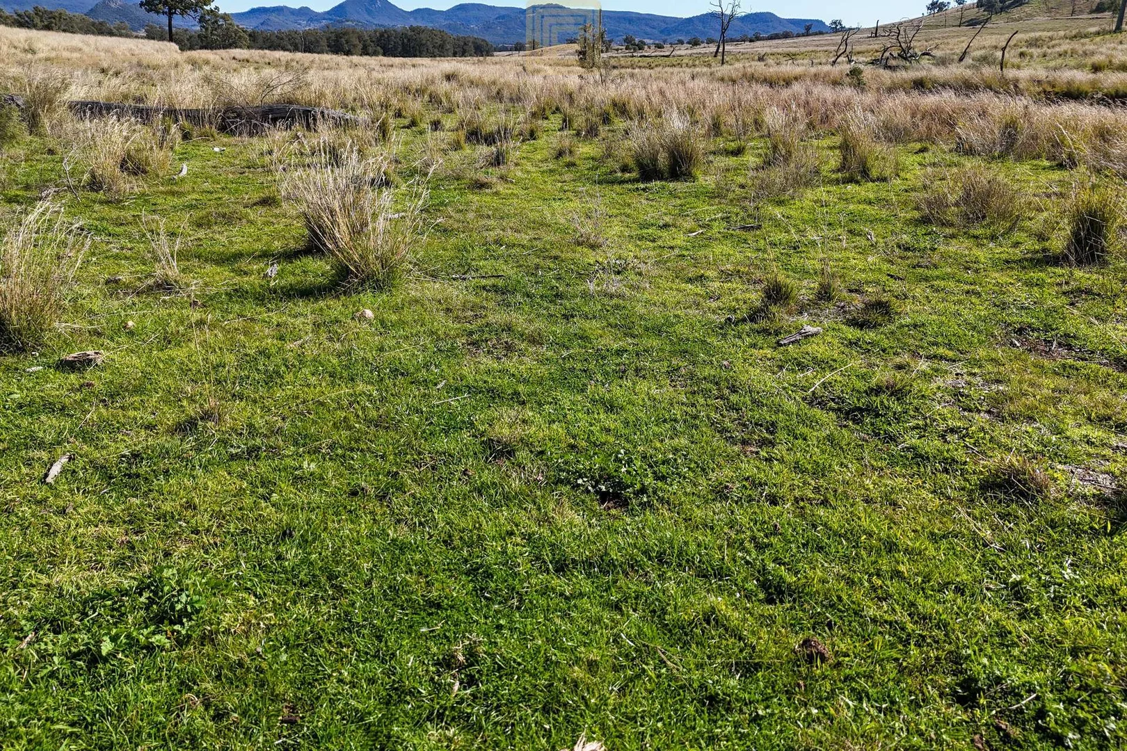 Additional image 5 of DARTHULA Pound Creek Road, Rocky Creek NSW 2390