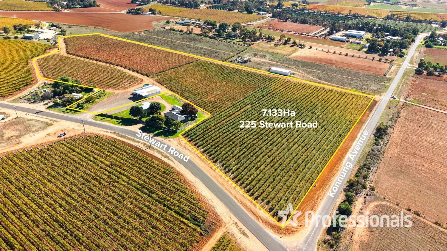Additional image 21 of 225 Stewart Road, Red Cliffs VIC 3496