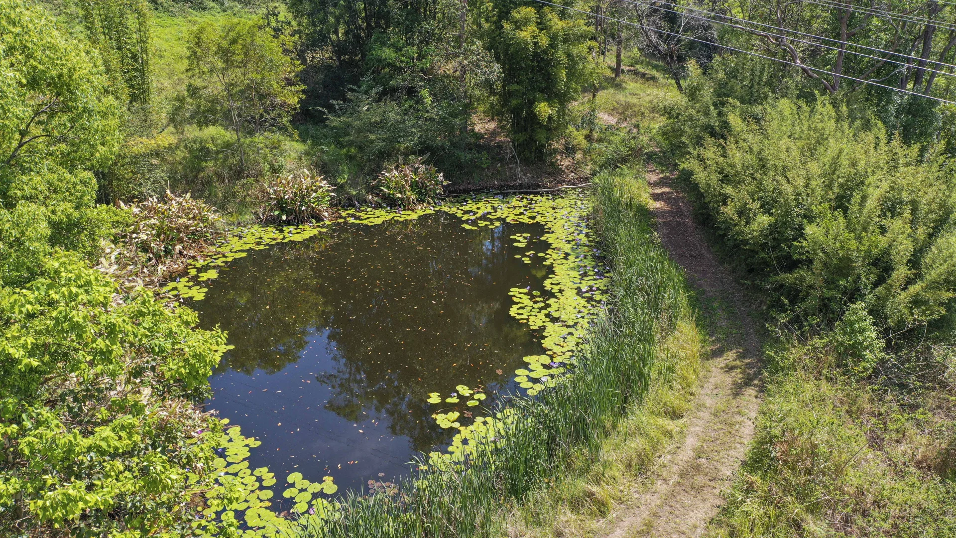 Additional image 15 of Share D5/1158 Pinchin Road, The Channon NSW 2480