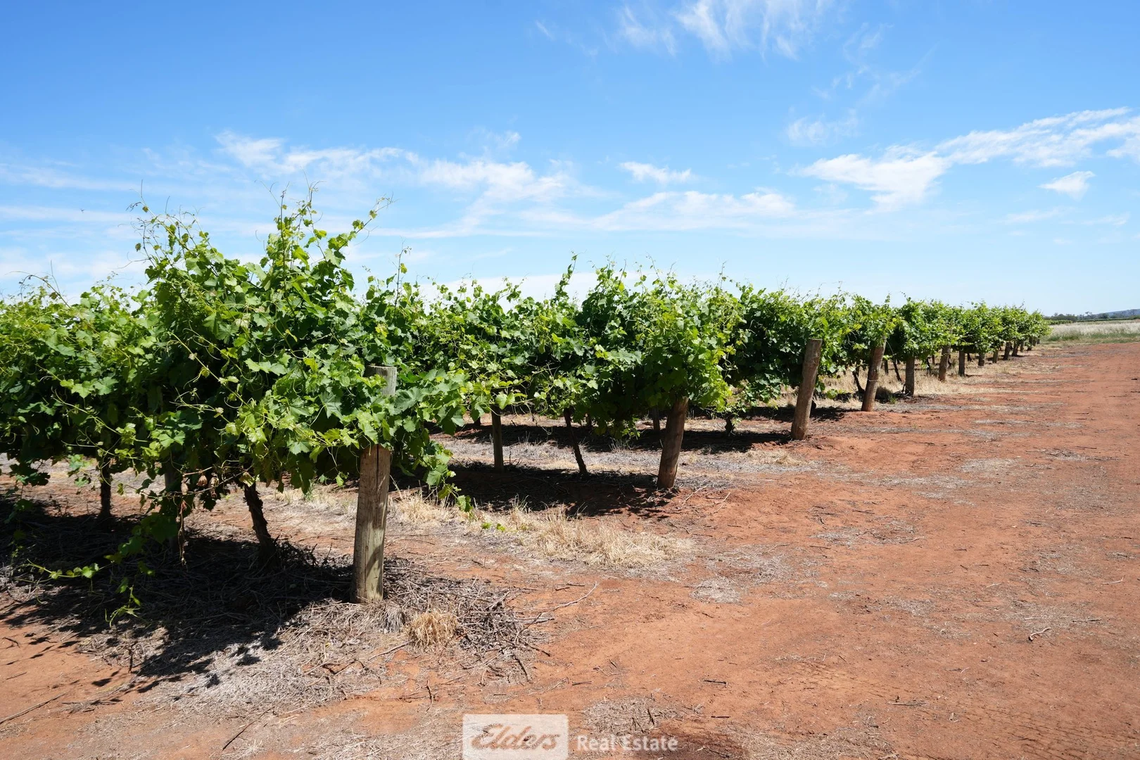 Additional image 4 of 1489 McDonough Road, Yenda NSW 2681