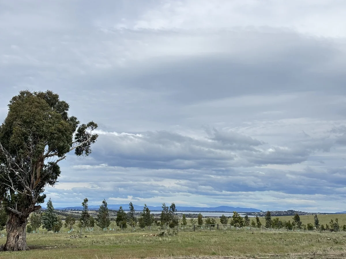 Additional image 7 of Lot 1 Orielton Road, Orielton TAS 7172