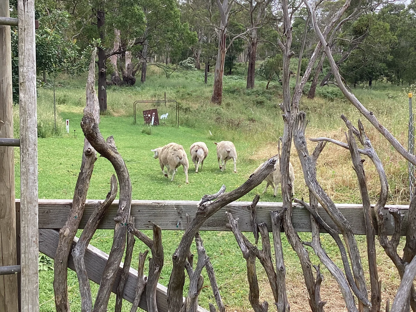 Additional image 16 of Carpendeit VIC 3260