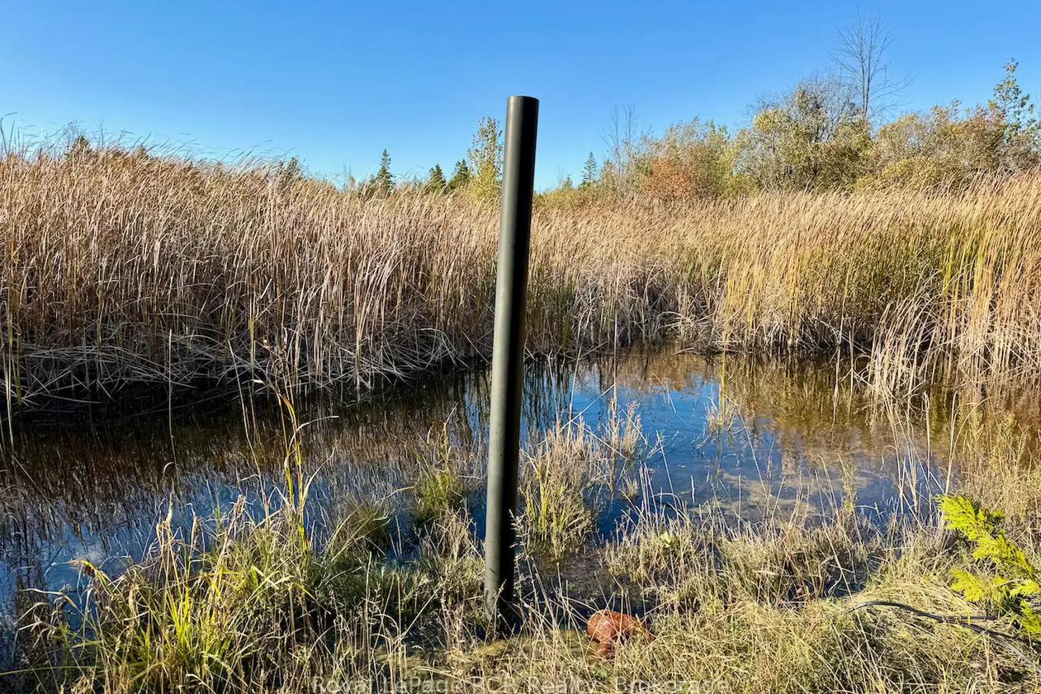 Additional image 14 of 4887 Hwy 6 Highway